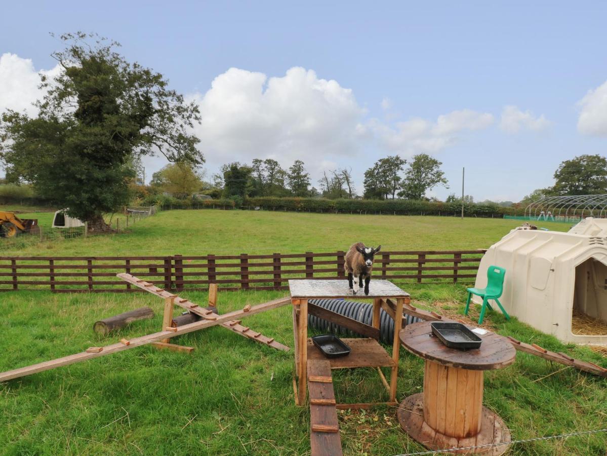Вилла The Pod At Bank House Farm Стаффорд Экстерьер фото